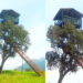 വനത്തിനുള്ളിലെ-എൻജിനീയറിങ്-വിസ്മയം