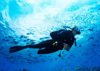 ചൈനീസ്-ഡൈവർ-കടലിനടിയിൽ-കുടുങ്ങി-കിടന്നത്-40-മിനിട്ട്;-മാപ്പ്-പറയാതെ-ഹോട്ടൽ-അധികൃതർ