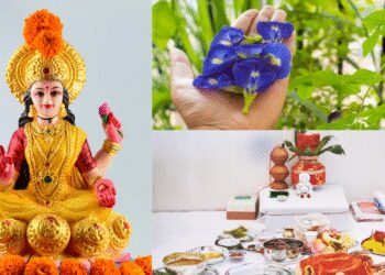 വിജയദശമി-ആഘോഷിക്കുന്നത്-എന്തുകൊണ്ട്?-പുരാണ-വിശ്വാസങ്ങളെയും-ആചാരങ്ങളെയും-കുറിച്ച്-അറിയുക;-വിജയം-നേടാനും-സന്തോഷവും-സമൃദ്ധിയും-കൊണ്ടുവരാനും-ഈ-ദിനത്തിൽ-എന്തൊക്കെ-കാര്യങ്ങൾ-ചെയ്യണം?