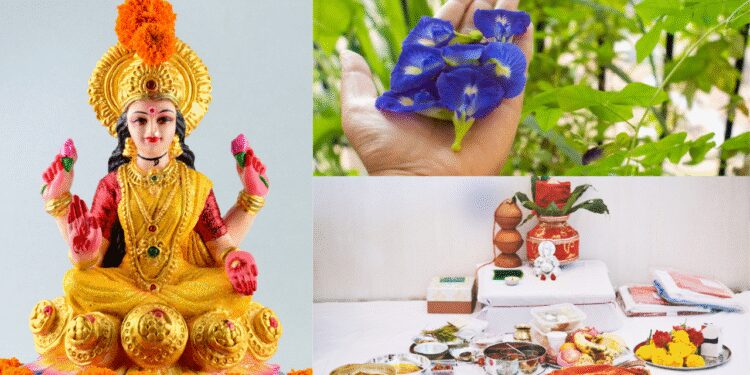 വിജയദശമി-ആഘോഷിക്കുന്നത്-എന്തുകൊണ്ട്?-പുരാണ-വിശ്വാസങ്ങളെയും-ആചാരങ്ങളെയും-കുറിച്ച്-അറിയുക;-വിജയം-നേടാനും-സന്തോഷവും-സമൃദ്ധിയും-കൊണ്ടുവരാനും-ഈ-ദിനത്തിൽ-എന്തൊക്കെ-കാര്യങ്ങൾ-ചെയ്യണം?