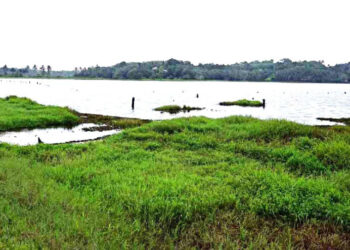 ശാസ്താംകോട്ടയുടെ-ടൂറിസം-ഹബ്ബാകാന്‍-ചേലൂര്‍-കായല്‍