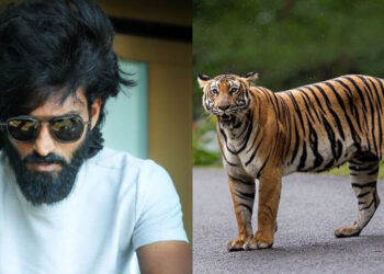 കാൽപന്തും-കടുവയും-പിന്നെ-വിനീതും