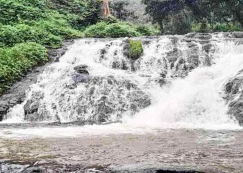 മഴ-കനത്തു;മനോഹരിയായി-രാജഗിരി-വെള്ളച്ചാട്ടം