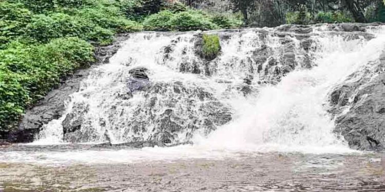 മഴ-കനത്തു;മനോഹരിയായി-രാജഗിരി-വെള്ളച്ചാട്ടം