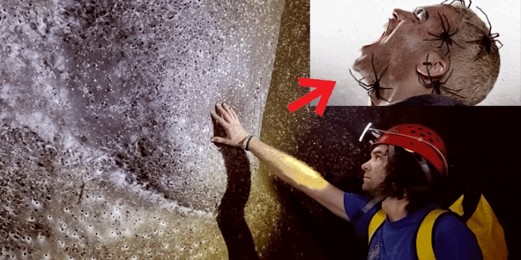 ശാസ്ത്രലോകത്തിന്-ഉത്തരമില്ല!-1.1-ലക്ഷം-ജീവികൾ,-കണ്ടെത്തിയത്-ലോകത്തിലെ-ഏറ്റവും-വലിയ-ചിലന്തിവല-കെണി