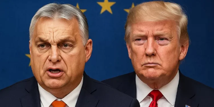 യുക്രെയ്ൻ-സഹായം-‘ഭ്രാന്ത്’!-യൂറോപ്യൻ-യൂണിയൻ്റെ-സാമ്പത്തിക-ആത്മഹത്യ:-തുറന്ന്-പറഞ്ഞ്-ഓർബൻ