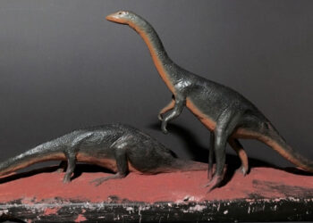 ദിനോസറിന്റെ-ഛർദ്ദിയിൽ-കണ്ടെത്തിയ-രഹസ്യം,-ശാസ്ത്രജ്ഞരെ-പോലും-ഞെട്ടിച്ചു.!