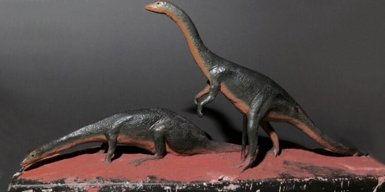 ദിനോസറിന്റെ-ഛർദ്ദിയിൽ-കണ്ടെത്തിയ-രഹസ്യം,-ശാസ്ത്രജ്ഞരെ-പോലും-ഞെട്ടിച്ചു.!