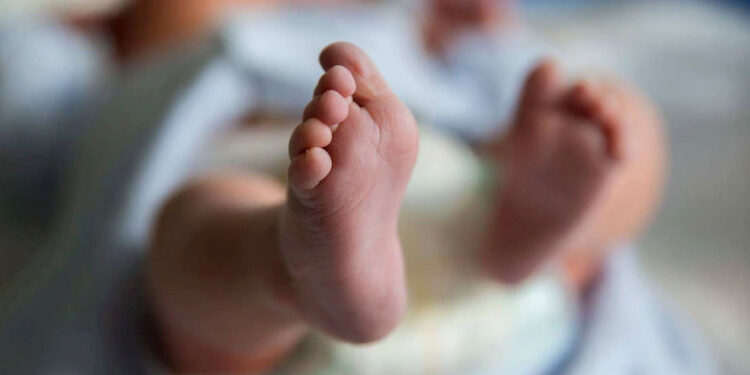 അമ്മത്തൊട്ടിലിൽ-പത്ത്-ദിവസം-പ്രായമുള്ള-കുഞ്ഞ്;-‘ഭീം’-എന്ന്-പേരിട്ടു