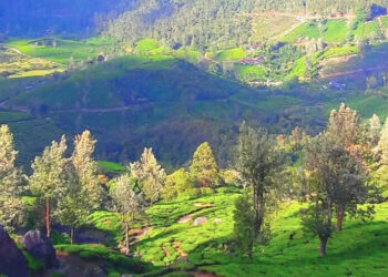 ഡിസംബറിൻ-തണുപ്പേകാൻ-മഞ്ഞിൻമലനിരകൾ