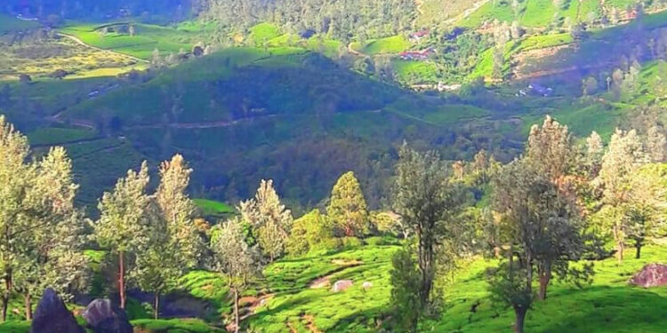 ഡിസംബറിൻ-തണുപ്പേകാൻ-മഞ്ഞിൻമലനിരകൾ