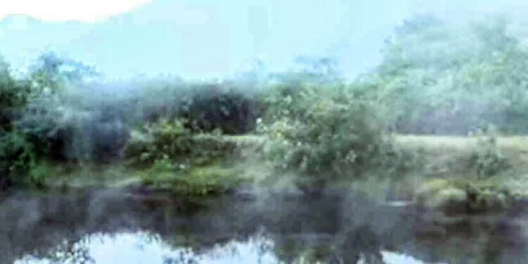 മഞ്ഞു-പുതച്ച്-മൂന്നാർ;-കോടമഞ്ഞും-തണുപ്പും-ആസ്വദിക്കാൻ-വിനോദസഞ്ചാരികളുടെ-ഒഴുക്ക്