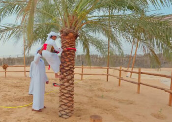 ഡ​സ​ർ​ട്ട്​-ക്യാ​മ്പ്​-സ​ന്ദ​ർ​ശി​ച്ച്​-​-ശൈ​ഖ്​-ഹം​ദാ​ൻ;-വൈ​റ​ലാ​യി-ചി​ത്ര​ങ്ങ​ൾ