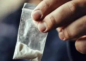 വാടക-വീടെടുത്ത്-ലഹരി-ഉപയോഗം,-ഡോക്ടറും-വിദ്യാര്‍ത്ഥിനിയുമടക്കം-ഏഴ്-പേര്‍-അറസ്റ്റില്‍,-ലഹരിയെത്തിച്ചത്-ബംഗളൂരുവില്‍-നിന്നും