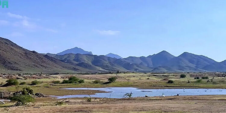 പച്ചപുതച്ച്-മക്കയിലെ-മലനിരകൾ;-ഇക്കോ-ടൂറിസം-ലക്ഷ്യസ്ഥാനങ്ങളായി-മാറുന്നു
