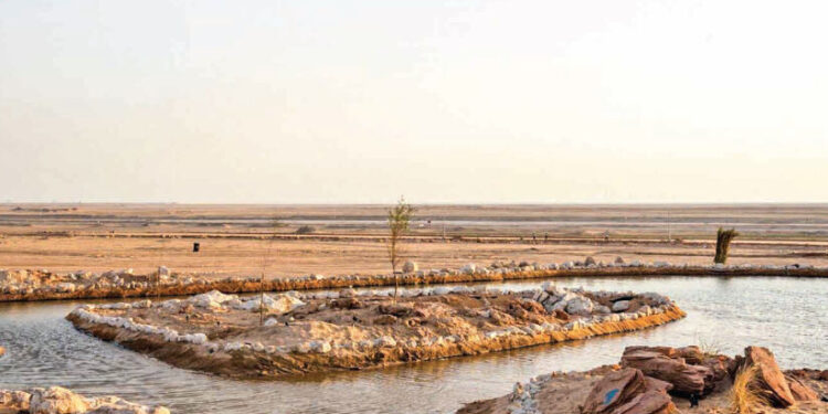 മ​രു​ഭൂ​മി​യു​ടെ-അ​ത്ഭു​ത-കാ​ഴ്ച​ക​ളു​മാ​യി-ജി​​യോ-പാ​ർ​ക്ക്-ഒ​രു​ങ്ങി;-ബു​ധ​നാ​ഴ്ച-മു​ത​ൽ-പ്ര​വേ​ശ​നം