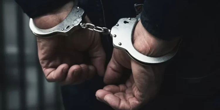 തലസ്ഥാനത്ത്-വൻ-കഞ്ചാവ്-വേട്ട;-50-കിലോ-കഞ്ചാവുമായി-ഡാൻസാഫിന്റെ-പൂട്ടുവീണത്-രണ്ട്-സംഘങ്ങൾക്ക്