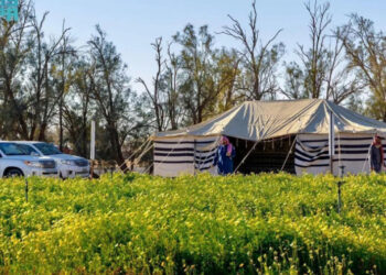 മ​രു​ഭൂ​മി​യി​ലെ-ഹ​രി​ത-വി​സ്മ​യം;-സ​ന്ദ​ർ​ശ​ക​രു​ടെ-മ​നം-ക​വ​ർ​ന്ന്-റ​ഫ​യി​ലെ-‘വൈ​ൽ​ഡ്-പ്ലാ​ൻ​റ്​-റി​സ​ർ​വ്’