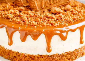 ഇൻസ്റ്റാഗ്രാമിലെ-താരം-ഇനി-വീട്ടിലുണ്ടാക്കാം;-ഇതാ-രുചിയൂറും-ബിസ്കോഫ്-ചീസ്-കേക്ക്!