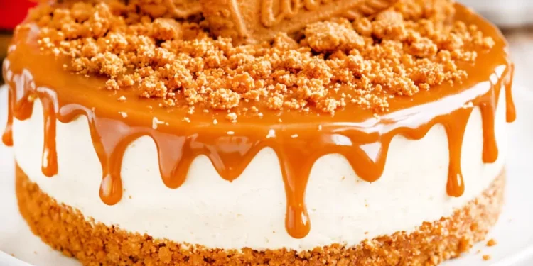 ഇൻസ്റ്റാഗ്രാമിലെ-താരം-ഇനി-വീട്ടിലുണ്ടാക്കാം;-ഇതാ-രുചിയൂറും-ബിസ്കോഫ്-ചീസ്-കേക്ക്!