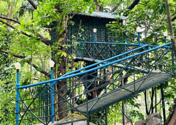 സൈലന്‍റ്-വാലിയുടെ-മടിത്തട്ടിൽ-ഒന്ന്-മയങ്ങിയാലോ?