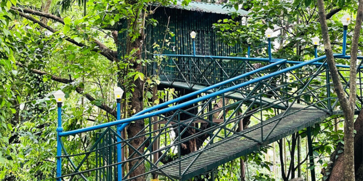 സൈലന്‍റ്-വാലിയുടെ-മടിത്തട്ടിൽ-ഒന്ന്-മയങ്ങിയാലോ?