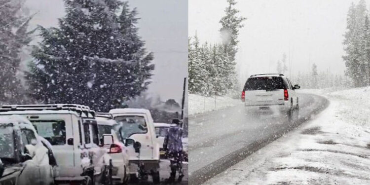 കനത്ത-മഞ്ഞുവീഴ്ചയും-മഴയും​;-ഹിമാചൽ-പ്രദേശിലുടനീളം1,250ലധികം-റോഡുകൾ-അടച്ചു