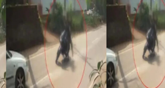 നടുറോഡില്‍-ബൈക്ക്-നിര്‍ത്തി-വടിവാള്‍-വീശി,-സഹോദരങ്ങളെ-ഇടിച്ച്-തെറിപ്പിച്ച്-കാര്‍,-പിന്നില്‍-സാമ്പത്തിക-തര്‍ക്കം