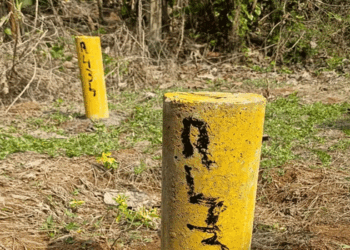 സിൽവർലൈൻ-പദ്ധതി-വെളിച്ചം-കാണില്ല!-സ്ഥലമേറ്റെടുപ്പ്-വിജ്ഞാപനം-റദ്ദാക്കി;-മഞ്ഞക്കുറ്റികൾ-ഭൂ-ഉടമകൾക്ക്-നീക്കം-ചെയ്യാം