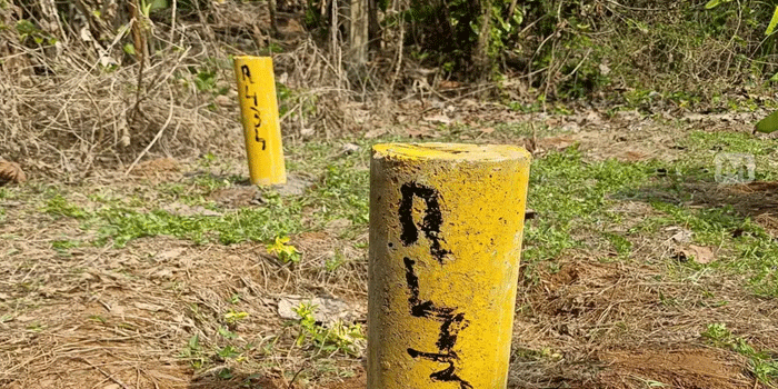 സിൽവർലൈൻ-പദ്ധതി-വെളിച്ചം-കാണില്ല!-സ്ഥലമേറ്റെടുപ്പ്-വിജ്ഞാപനം-റദ്ദാക്കി;-മഞ്ഞക്കുറ്റികൾ-ഭൂ-ഉടമകൾക്ക്-നീക്കം-ചെയ്യാം