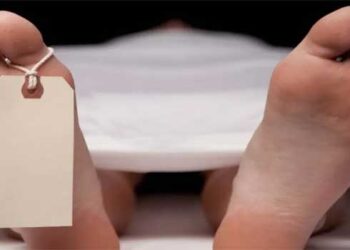 പശുവിനെ-തീറ്റാനായി-ഇറങ്ങിയ-ഭിന്നശേഷിക്കാരിയായ-പ്ലസ്-വൺ-വിദ്യാർത്ഥിനി-വയലിൽ-മരിച്ച-നിലയിൽ,-കുട്ടിയെ-കാണാതെ-അന്വേഷിച്ചിറങ്ങിയ-പ്രദേശവാസികൾ-കുട്ടിയെ-കണ്ടെത്തിയത്-മരിച്ച-നിലയിൽ;-ദുരൂഹത