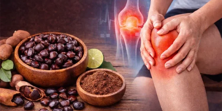 സന്ധിവാതത്തിന്-പുളിങ്കുരു-മരുന്നോ?-വസ്തുതകൾ-അറിയാം