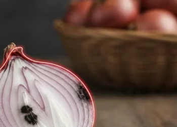 ഉള്ളിയിലെ-കറുത്ത-പാടുകൾ-നിസ്സാരമല്ല;-വില്ലൻ-ഈ-ഫംഗസ്!-ആരോഗ്യത്തിന്-ഭീഷണിയാകുന്നതിങ്ങനെ