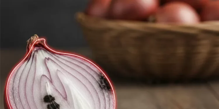 ഉള്ളിയിലെ-കറുത്ത-പാടുകൾ-നിസ്സാരമല്ല;-വില്ലൻ-ഈ-ഫംഗസ്!-ആരോഗ്യത്തിന്-ഭീഷണിയാകുന്നതിങ്ങനെ