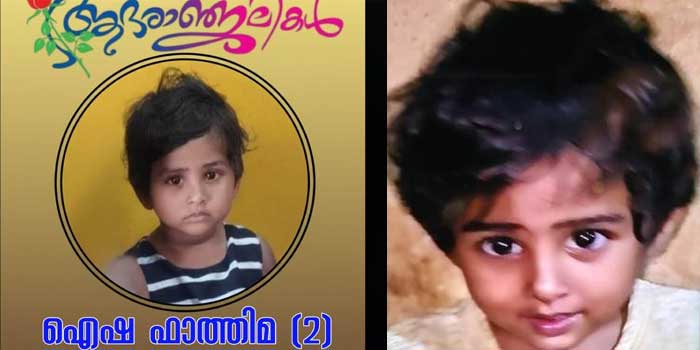 ശ്വാസം-മുട്ടലിന്-കയ്യിൽ-രണ്ടു-കുത്തിവെപ്പുകൾ-എടുത്തു,-പിന്നാലെ-രണ്ടര-വയസുകാരി-ബോധരഹിതയായി,-ഉടനെ-നെയ്യാർ-മെഡിസിറ്റിയിൽ-എത്തിച്ചെങ്കിലും-ജീവൻ-രക്ഷിക്കാനായില്ല!!-മരിച്ചത്-ഇരട്ടക്കുട്ടികളിൽ-ഒരാൾ,-ചികിത്സാപ്പിഴവെന്ന്-കുടുംബം,-കേസെടുത്തു