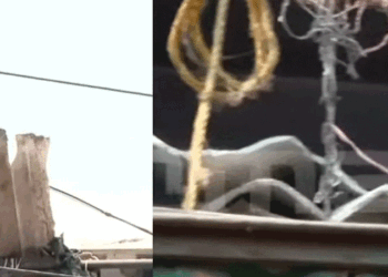 ​ദാ-വീണ്ടും;-വലിയങ്ങാടിയിൽ-ഇരുപതിലധികം-ഇതര-സംസ്ഥാന-തൊഴിലാളികൾ-താമസിക്കുന്ന-കെട്ടിടത്തിന്റെ-സൺഷെയ്ഡാണ്-അടർന്നുവീണു;-ആർക്കും-പരിക്കില്ല