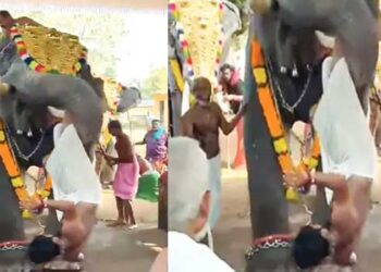 തിടമ്പേറ്റുന്നതിനിടെ-യുവാവിന്റെ-കാലിൽ-തൂക്കി-തലകീഴായി-ഉയർത്തി-നിലത്തേക്കെറിഞ്ഞ്-ആന,-വീണ്ടും-ആക്രമിക്കാൻ-ശ്രമിക്കുന്നതിനിടെ-മറ്റു-പാപ്പാൻമാർ-ആനയുടെ-ശ്രദ്ധതിരിച്ചതിനാൽ-തലനാരിഴയ്ക്ക്-രക്ഷപ്പെട്ട്-യുവാവ്