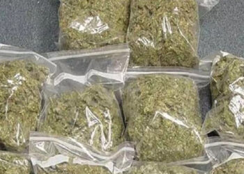 നടന്‍-ടിനി-ടോമിന്റെ-മകനും-സുഹൃത്തുക്കളും-കഞ്ചാവുമായി-പിടിയില്‍,-കണ്ടെത്തിയത്-ചെറിയ-പാക്കറ്റിലാക്കി-പോക്കറ്റില്‍-ഒളിപ്പിച്ച-നിലയില്‍