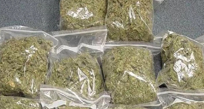 നടന്‍-ടിനി-ടോമിന്റെ-മകനും-സുഹൃത്തുക്കളും-കഞ്ചാവുമായി-പിടിയില്‍,-കണ്ടെത്തിയത്-ചെറിയ-പാക്കറ്റിലാക്കി-പോക്കറ്റില്‍-ഒളിപ്പിച്ച-നിലയില്‍