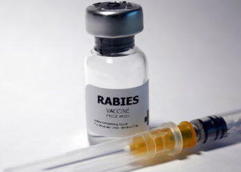 ശ്വാസം-മുട്ടലിന്-ചികിത്സക്കെത്തിയ-18കാരിക്ക്-പേവിഷബാധയ്ക്കുള്ള-വാക്‌സിന്‍-നല്‍കി,-ശാസ്താംകോട്ട-താലൂക്ക്-ആശുപത്രിക്കെതിരെ-വ്യാപക-പ്രതിഷേധം,-ഡ്യൂട്ടിയിലുണ്ടായ-നഴ്സുമാര്‍ക്ക്-സ്ഥലംമാറ്റം,-അപകടകമില്ലെന്ന-ന്യായീകരണവുമായി-ഡോക്ടര്‍മാര്‍