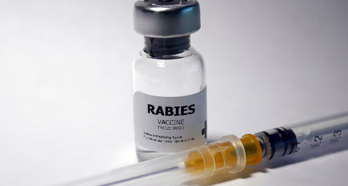 ശ്വാസം-മുട്ടലിന്-ചികിത്സക്കെത്തിയ-18കാരിക്ക്-പേവിഷബാധയ്ക്കുള്ള-വാക്സിന്-നല്കി,-ശാസ്താംകോട്ട-താലൂക്ക്-ആശുപത്രിക്കെതിരെ-വ്യാപക-പ്രതിഷേധം,-ഡ്യൂട്ടിയിലുണ്ടായ-നഴ്സുമാര്ക്ക്-സ്ഥലംമാറ്റം,-അപകടകമില്ലെന്ന-ന്യായീകരണവുമായി-ഡോക്ടര്മാര്