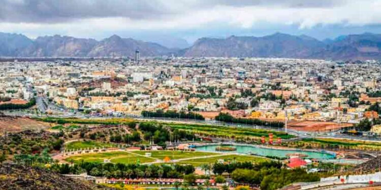 സൗദിയിൽ-വസന്തകാല-മഴ,-മരുഭൂമികൾ-പച്ചപുതച്ചു;-സഞ്ചാരികളുടെ-തിരക്കേറുന്നു