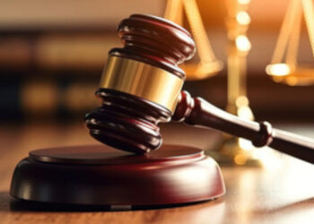 മിക്ക-മണ്ഡലങ്ങളിലും-പ്രധാന-സ്ഥാനാർഥികൾക്ക്-അപരന്മാര്‍,-എന്നാല്‍-ഇവരെ-പ്രചരണ-രംഗത്ത്-മഷിയിട്ട്-നോക്കിയാല്‍-പോലും-കാണാറില്ല,-ഇത്-ജനാധിപത്യത്തെ-കൊല്ലുന്നതിന്-തുല്യമെന്ന്-കോടതി