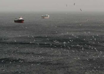 ‘ഞങ്ങൾ-ഇവിടെ-കുടുങ്ങിയിരിക്കുകയാണ്,-ജീവിക്കാൻ-സഹായിക്കണം…-നിലവിളികളുമായി-നാവികർ’!!-2,000-കപ്പലുകളിലായി-ഹോർമുസ്-കടലിടുക്കിൽ-കുടുങ്ങി-കിടക്കുന്നത്-20,000-നാവികർ,-ഭക്ഷണവും-വെള്ളവും-തീരുന്നു…