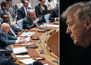 ഈ-യുദ്ധം-ലോകത്തിനേൽപ്പിക്കുന്ന-ആഘാതം-ചില്ലറയല്ല;-ഭക്ഷ്യവില-കുതിച്ചുയരുന്നു,-ആഗോള-ഭക്ഷ്യപ്രതിസന്ധി-രൂക്ഷമാകും’:-ഐക്യരാഷ്ട്ര-സഭയുടെ-മുന്നറിയിപ്പ്