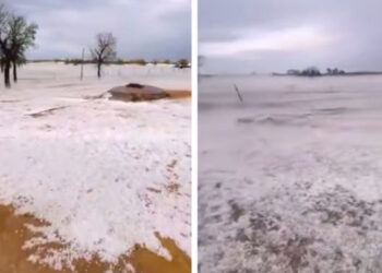 മഞ്ഞണിഞ്ഞ്-മണൽഭൂമി