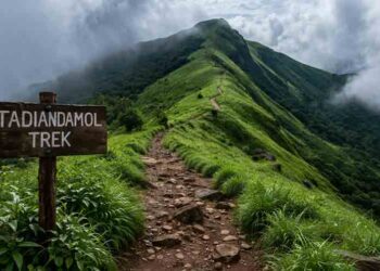 തടിയന്റമോൾ:-സാഹസികത-തേടുന്നവരുടെ-ട്രെക്കിങ്ങ്-സ്പോട്ട്