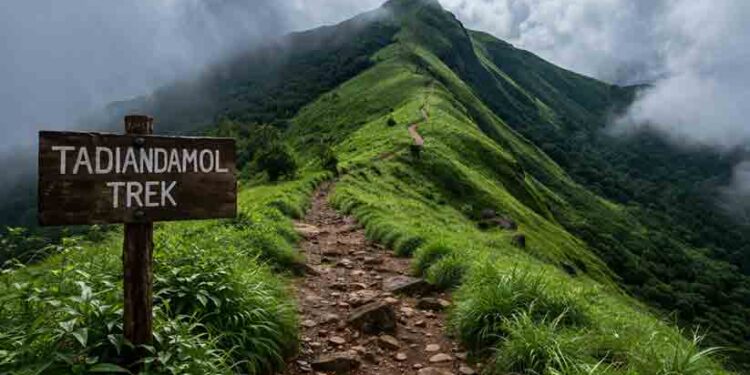 തടിയന്റമോൾ:-സാഹസികത-തേടുന്നവരുടെ-ട്രെക്കിങ്ങ്-സ്പോട്ട്