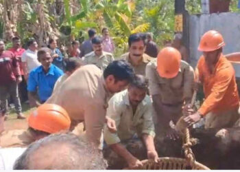 മകളുടെ-കല്യാണം-ക്ഷണിക്കാന്-അയല്വീട്ടിലെത്തിയയാളെ-പട്ടി-ഓടിച്ചു,-പിന്നാലെ-കാല്-വഴുതി-കിണറ്റില്-വീണു,-മധ്യവയസ്കന്-പരിക്ക്