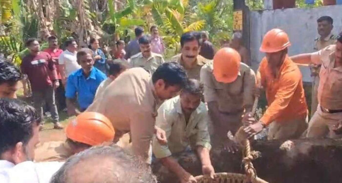 മകളുടെ-കല്യാണം-ക്ഷണിക്കാന്‍-അയല്‍വീട്ടിലെത്തിയയാളെ-പട്ടി-ഓടിച്ചു,-പിന്നാലെ-കാല്‍-വഴുതി-കിണറ്റില്‍-വീണു,-മധ്യവയസ്കന്-പരിക്ക്
